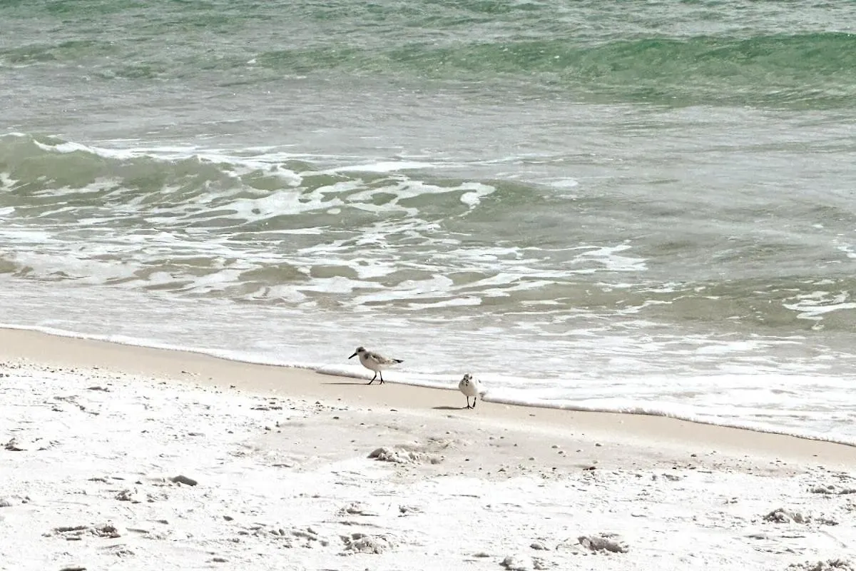 Emerald Gem Beach Svc Included Destin
